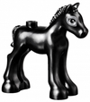 Horse - Foal