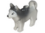 Dog (Various)