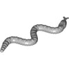 Snake, Black