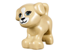 Dog / Puppy