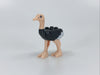 Ostrich