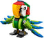 LEGO Set-Rainforest Animals-Creator / Model / Creature-31031-1-Creative Brick Builders