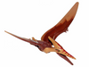 Pteranodon with Reddish Brown Back